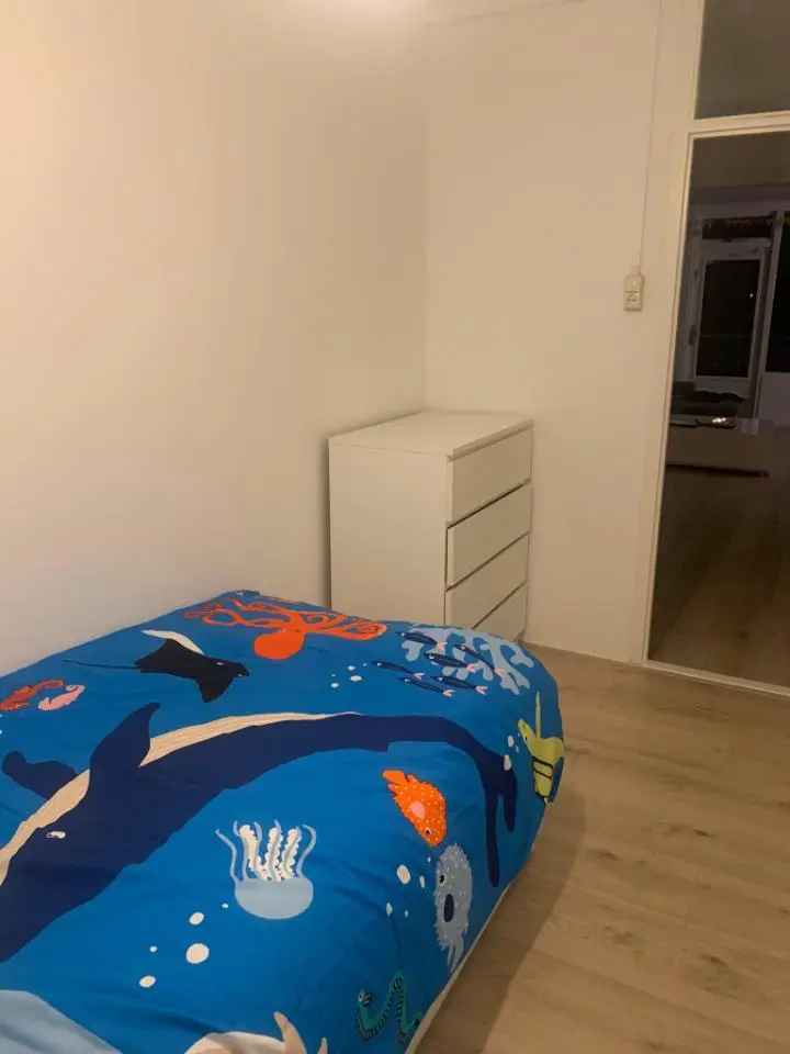 Kamer te huur in Zaandam nabij Amsterdam