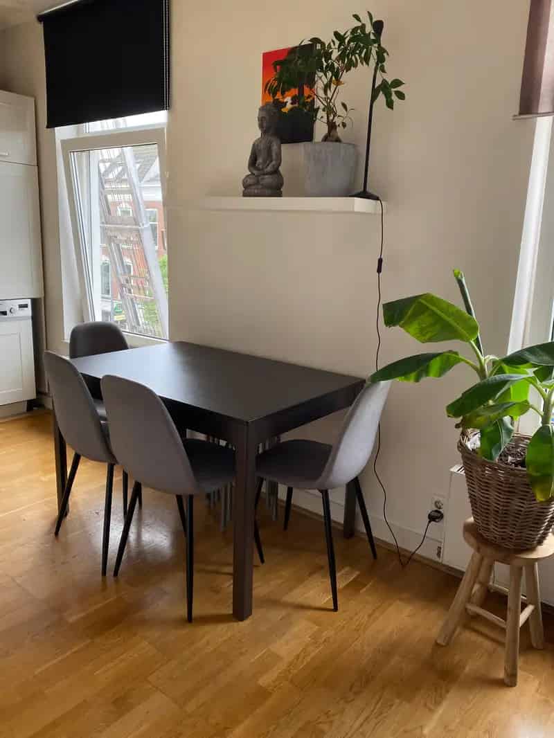 Gemeubileerde Kamer Rotterdam Vrouw 20-26 jaar