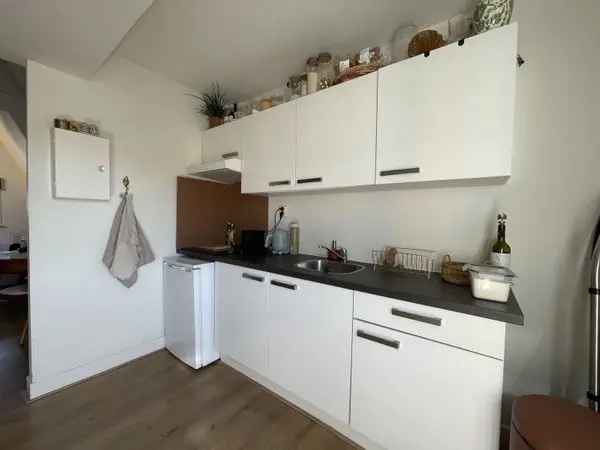 Studio Diezerpoort Zwolle te huur vanaf 1 juni