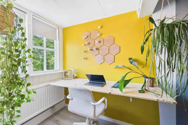 Appartement Middelburg 60m2 2 slaapkamers Lange Jan uitzicht
