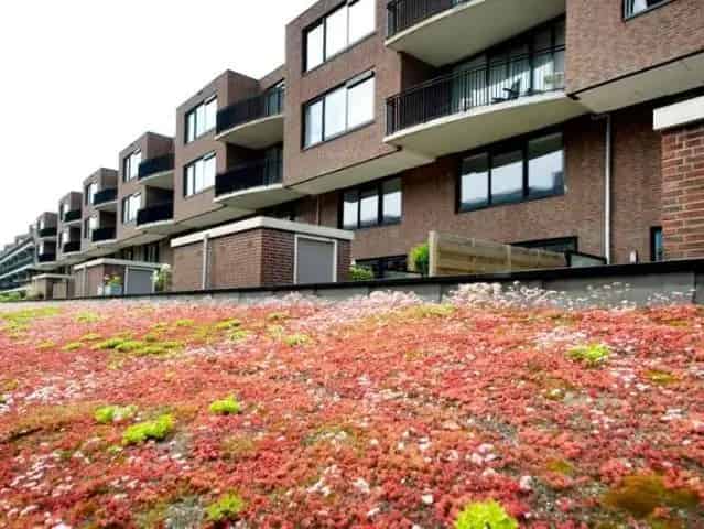 Snellinckstraat 10q