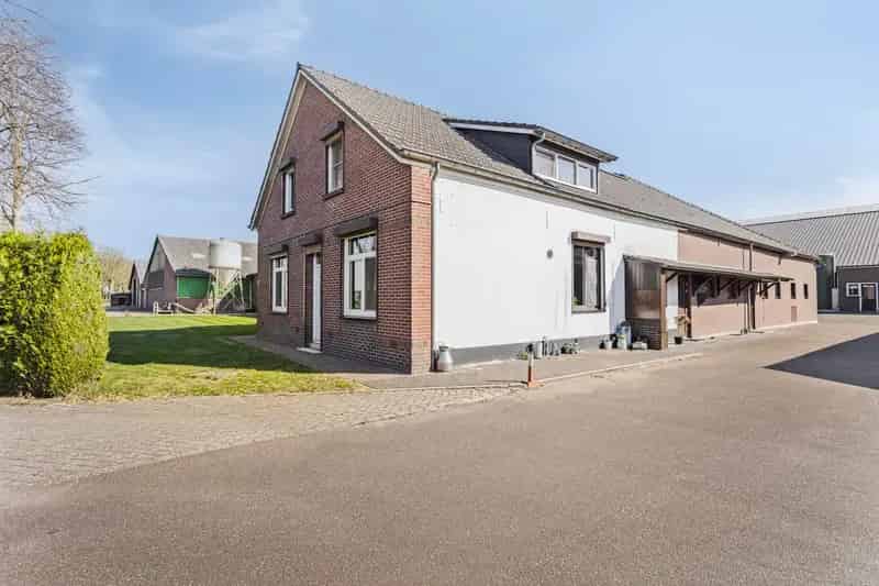 Melkveebedrijf Lomm te koop - 260 melkkoeien - 11 hectare