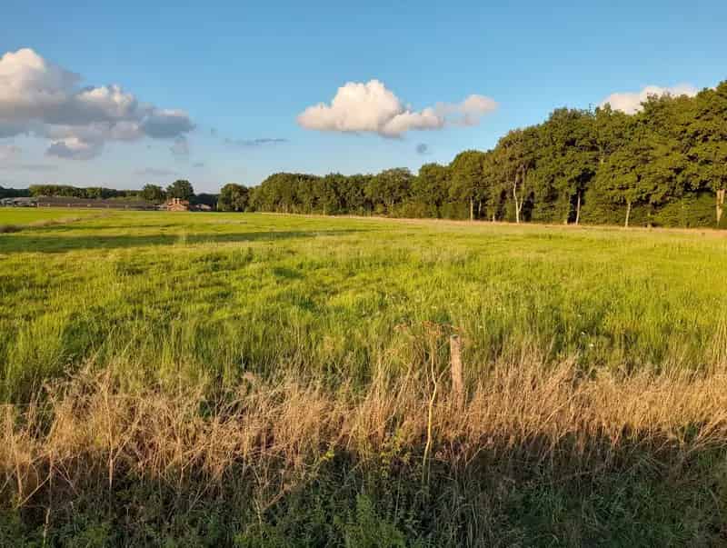 Agrarische grond Nijkerk | Zoek agrarische grond te koop: Schoenlapperweg 4 3862 PL Nijkerk 