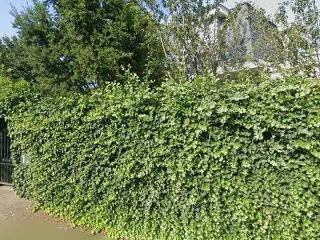 Huurwoning Den Haag Vogelwijk Vrijstaande Villa 4 slaapkamers