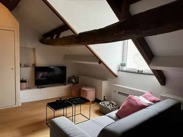 Appartement Maastricht Centrum: Gemeubileerd en Modern