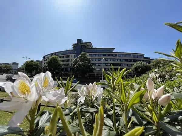 Studio Amersfoort Mei 2025 Beschikbaar Moderne Studio Stadsring