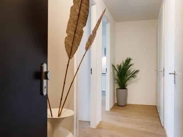 2-kamer appartement Amsterdam Riekerpolder 68m2