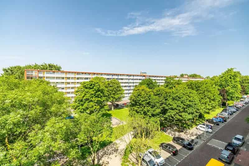 3-Kamerappartement Leiden Jacques Urlusplantsoen