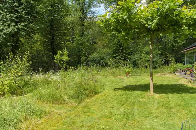 Vrijstaande Boswoning Austerlitz 146m²  Atelier Zwemvijver