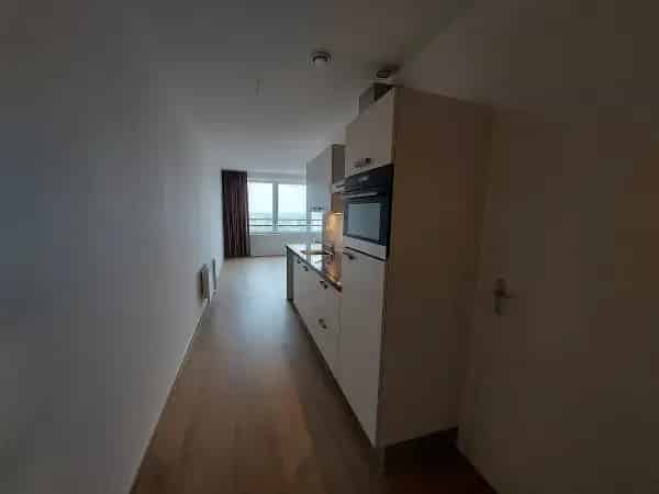 Appartement Omegaplantsoen Leiden: Studio 49m2