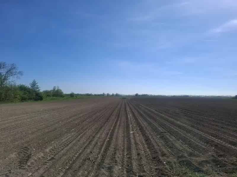 Agrarische Grond Alphen aan den Rijn 21 ha
