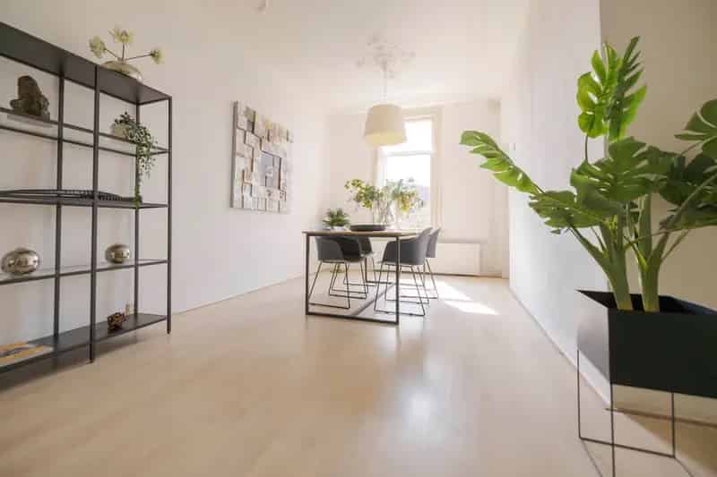 Ruime Bovenwoning Sonsbeekkwartier Arnhem