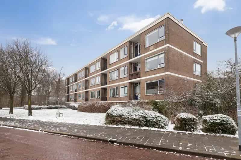 2 Slaapkamers Appartement Nabij Stadspark Instapklaar