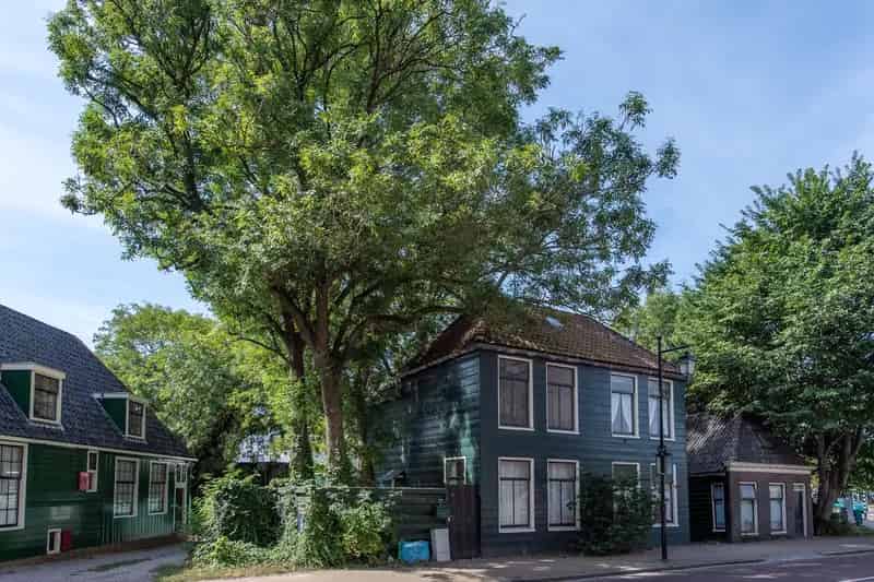 Gemeentelijk Monument Zaandam: Dubbele Woning Renovatieproject