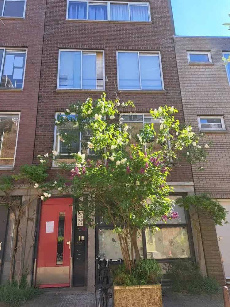 Ruime 4-kamer Maisonnette Jordaan