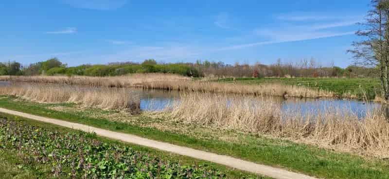 Vrijstaande Villa 5 slaapkamers Zwijndrecht 1739m2