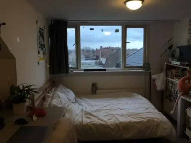 Zolderkamer Huize Flamingo 25m2 te huur
