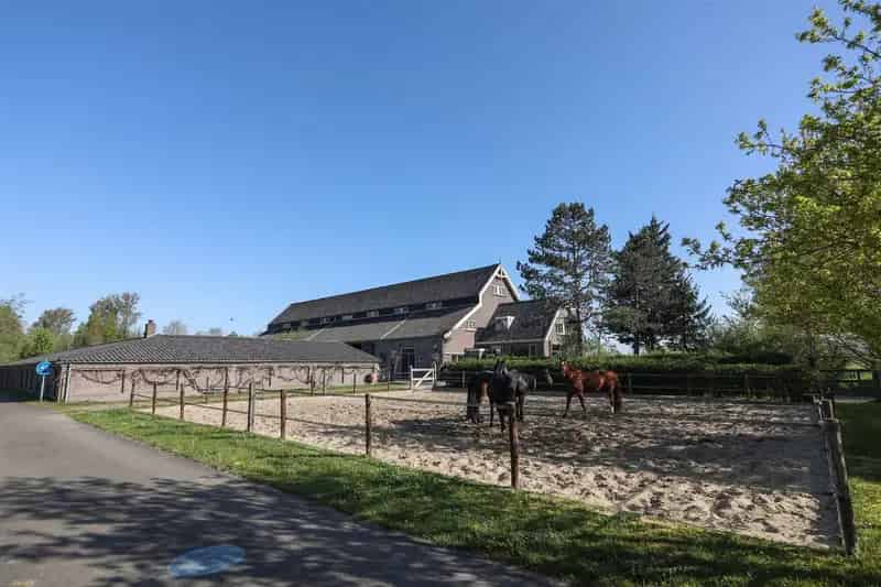 Bedrijfshal Velsen-Zuid | Zoek bedrijfshallen te koop: Spaarndammerweg 3-A 1981 LM Velsen-Zuid 