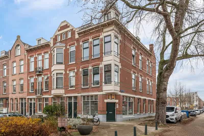 2 Kamer Woning Nieuwe Westen Rotterdam  Dakterras Heemraadspark
