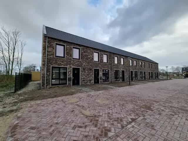 Julianadorp  (Noorderhaven)  - Kastanjehout