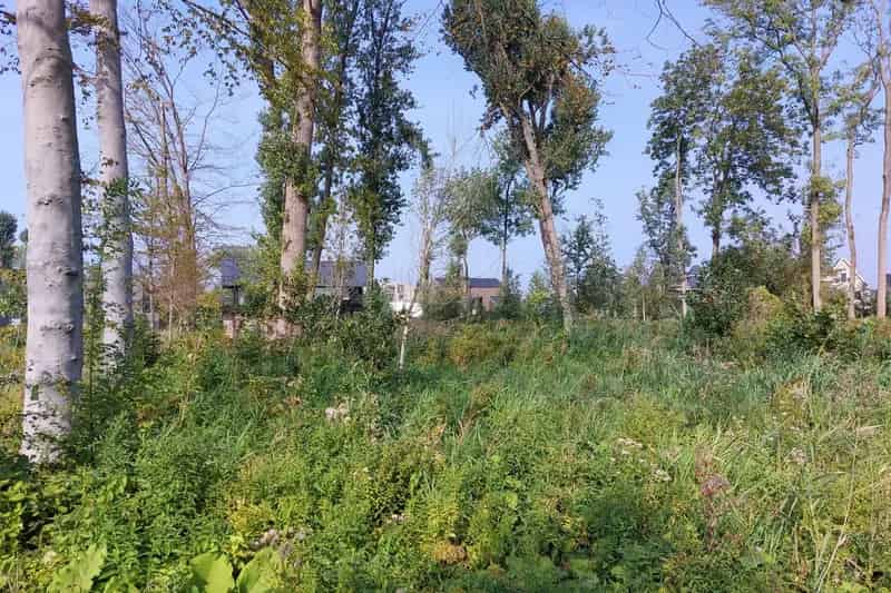 Bouwgrond Muiden De Krijgsman:  Eigen Ligplaats Watersport