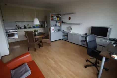 2 Kamer Appartement Leiden 43m2 Gemeubileerd Balkon