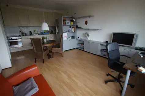 2 Kamer Appartement Leiden 43m2 Gemeubileerd Balkon