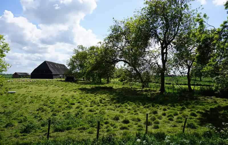 Moderne Landelijke Woning te Koop nabij Zeeuwse Kust