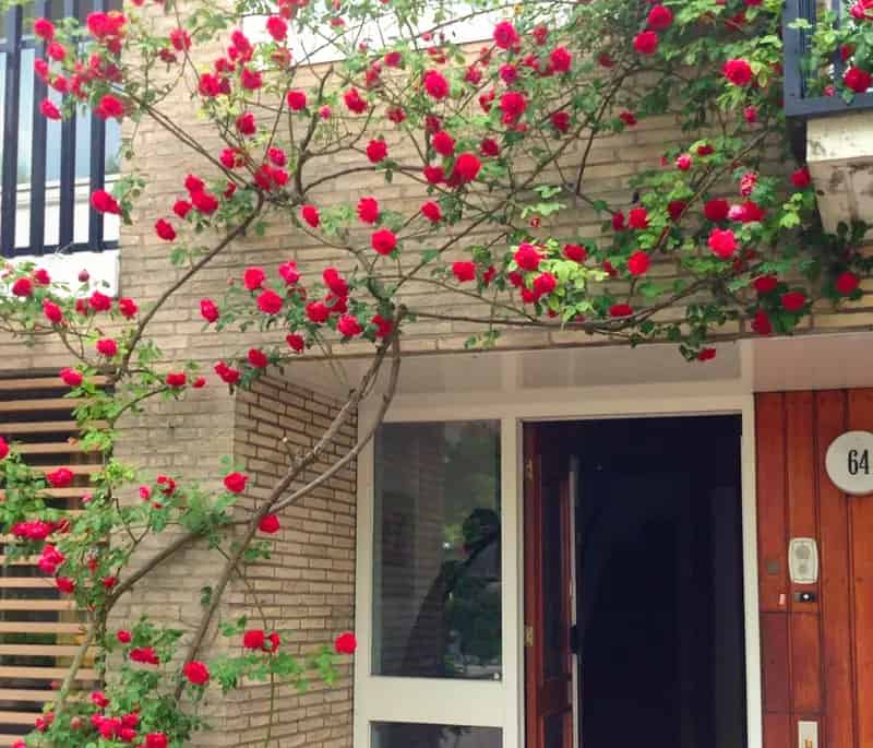 Huis te koop Amsterdam Buitenveldert Familiehuis Tuin Garage