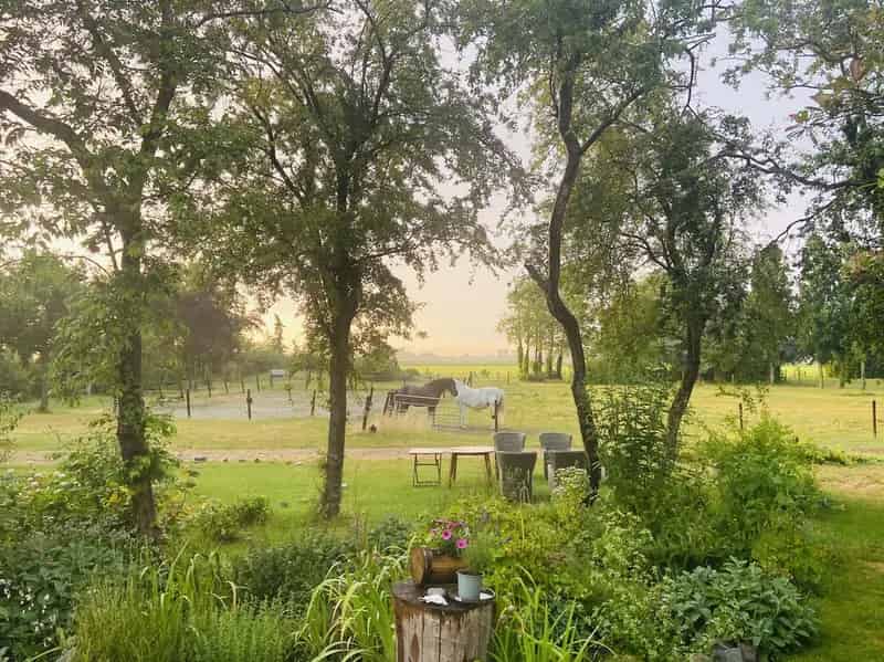 Woonboerderij Dreischor 6 slaapkamers 29930m2 grond
