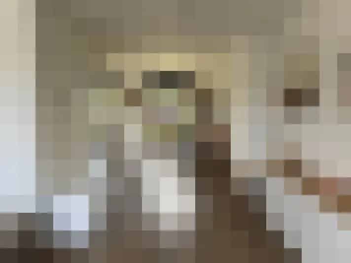 5 Kamer Woonhuis Vijfheerenlanden