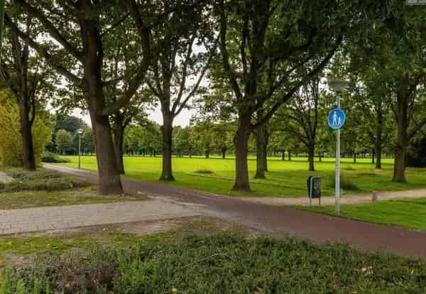 Te Huur Huis Johannes Buijslaan Eindhoven 3 slaapkamers
