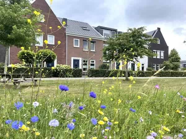 Ruime Tussenwoning 6 Slaapkamers Stadshagen Zwolle