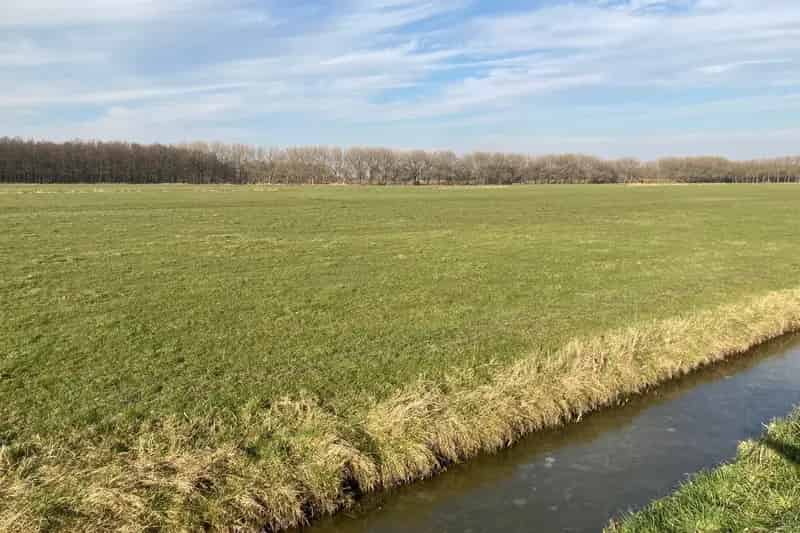 Agrarische Grond Delfgauw te Koop