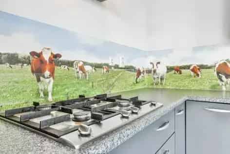 3 Kamer Appartement 85m2 Amsterdam Nieuw Koningshof