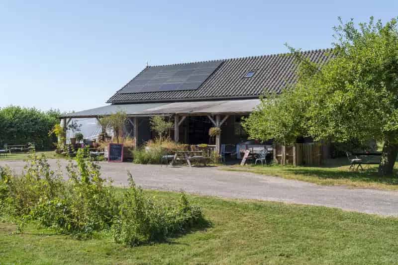 Woning met boomgaard en bijgebouw te Werkhoven