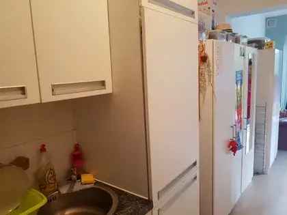 Studio Utrecht 30m2 St Ludgerusstraat Grote Tuin Gratis Parkeren