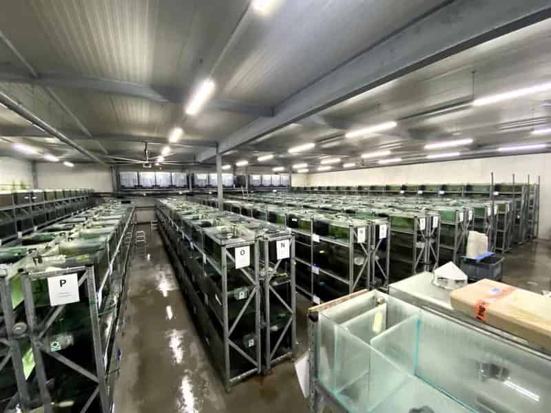 Bedrijfshal Lelystad | Zoek bedrijfshallen te koop: Artemisweg 173 8239 DD Lelystad 