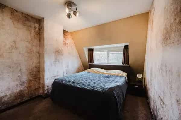 Ruime Bovenwoning met Serre en 2 Terrassen