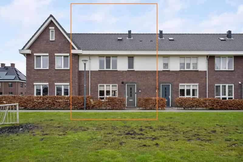 Bloesem 3
