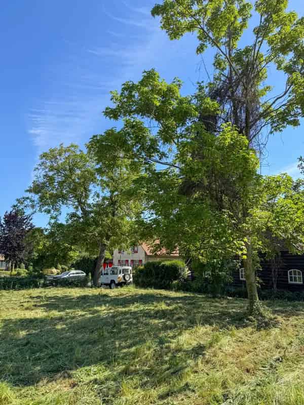Droomvilla realiseren op unieke bouwkavel in Aasterberg