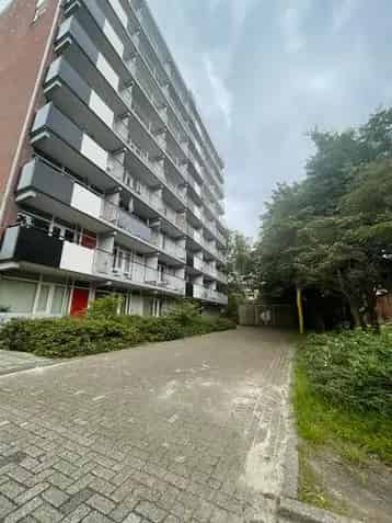 Huis Te Huur , Nederland