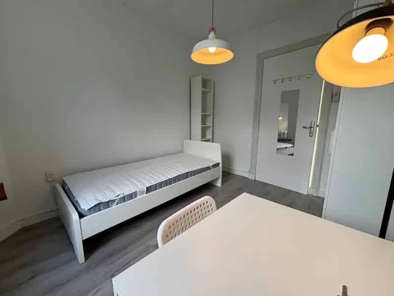 Kamer te Huur Maastricht Centrum Nabij Universiteit