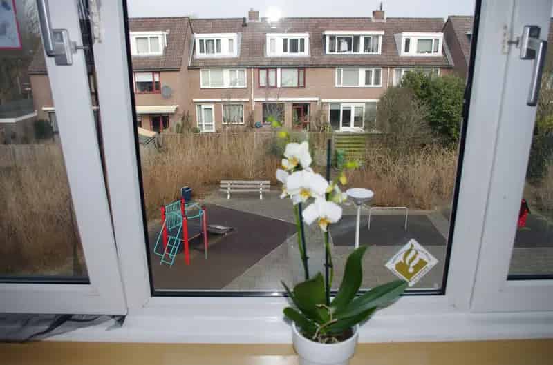Kamer voor Internationale Student Amsterdam