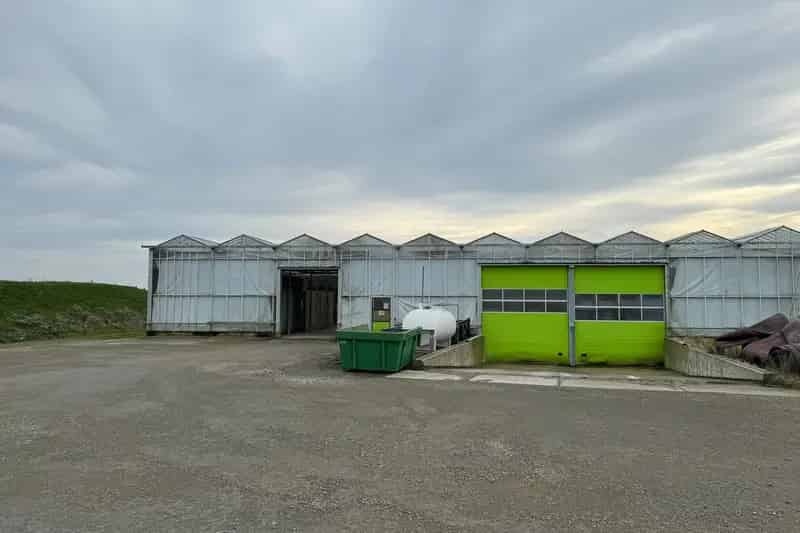 Bedrijfshal te huur Middelburg 44162m2  N57