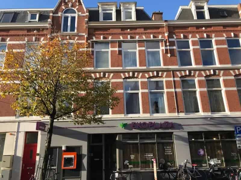 2 Kamer Appartement Den Haag Weimarstraat 50m2