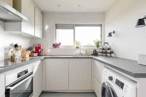 2 Kamerappartement Leiden Burgemeesterswijk Vrij Uitzicht Balkon
