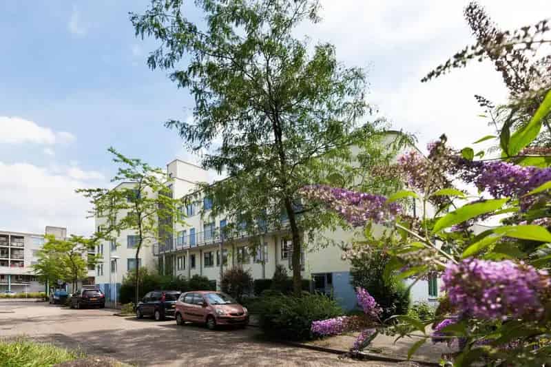 Ruim 3 Kamer Appartement Utrecht