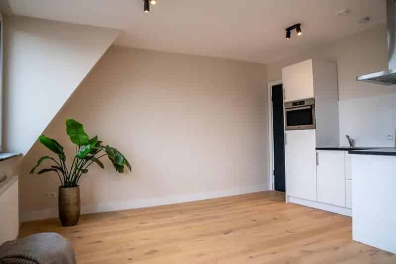 3 Kamer Appartement Den Haag Valkenboskwartier gerenoveerd