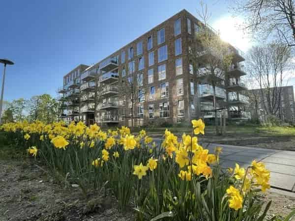 3-kamer Appartement Tuindorp Utrecht - Beschikbaar per 1 Augustus 2025